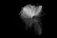 Best-Of-2016-133-PA270011-Bearbeitet-Bearbeitet