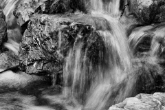 How about some refreshment?