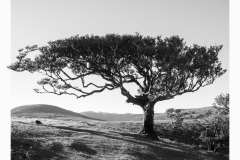 Do not rest on your laurels