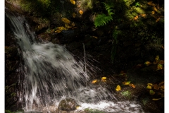 Madeira2018-045-P7020507